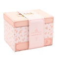 DISNEY PRINCESS PASTEL MUSICAL JEWELLERY BOX - MULTI PRINCESS