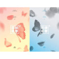 BTS – 4th Mini Album [In the mood for Love Pt.2]